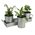 Galvanized Set Of Three Planters With Tray, Gray Gray Metal