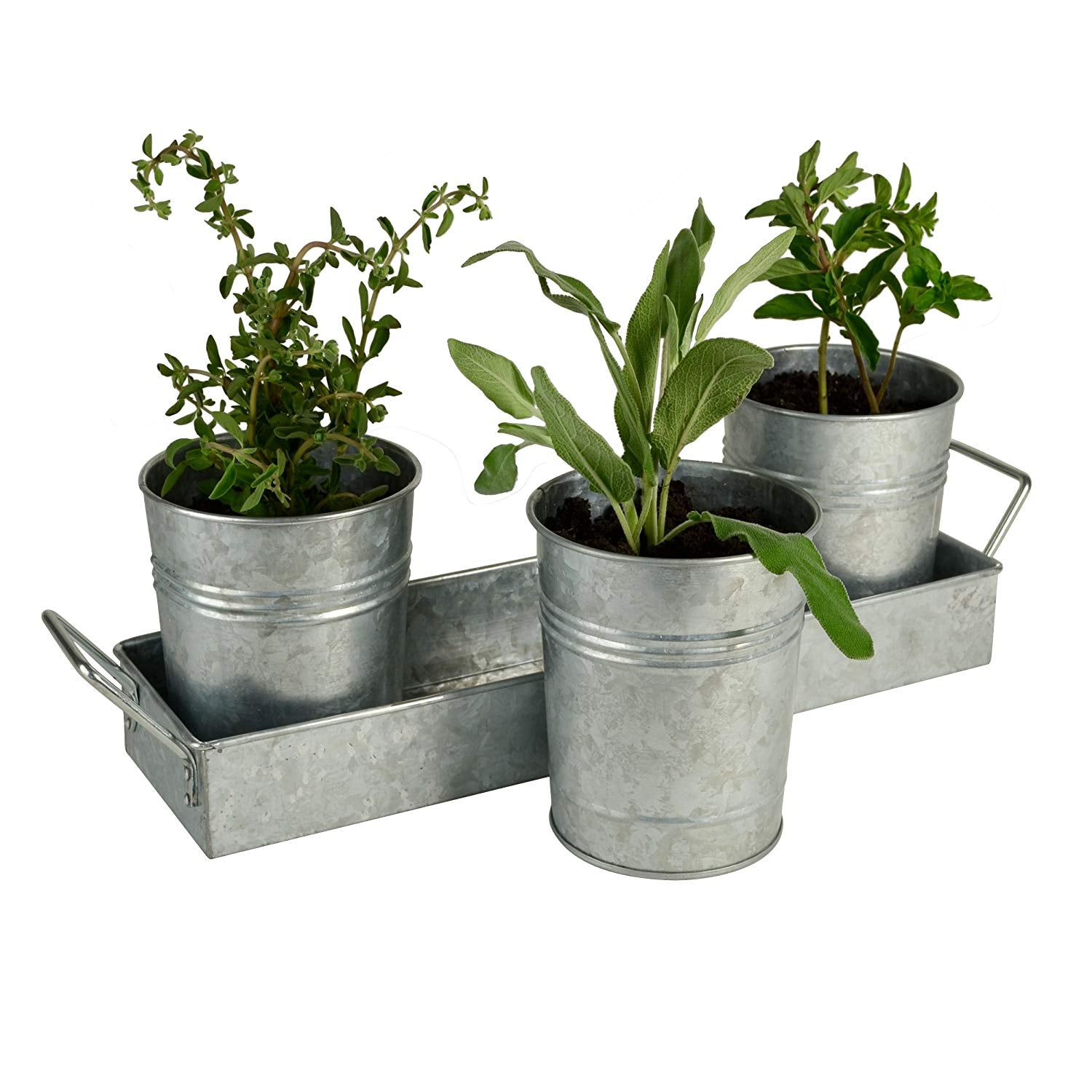 Galvanized Set Of Three Planters With Tray, Gray Gray Metal