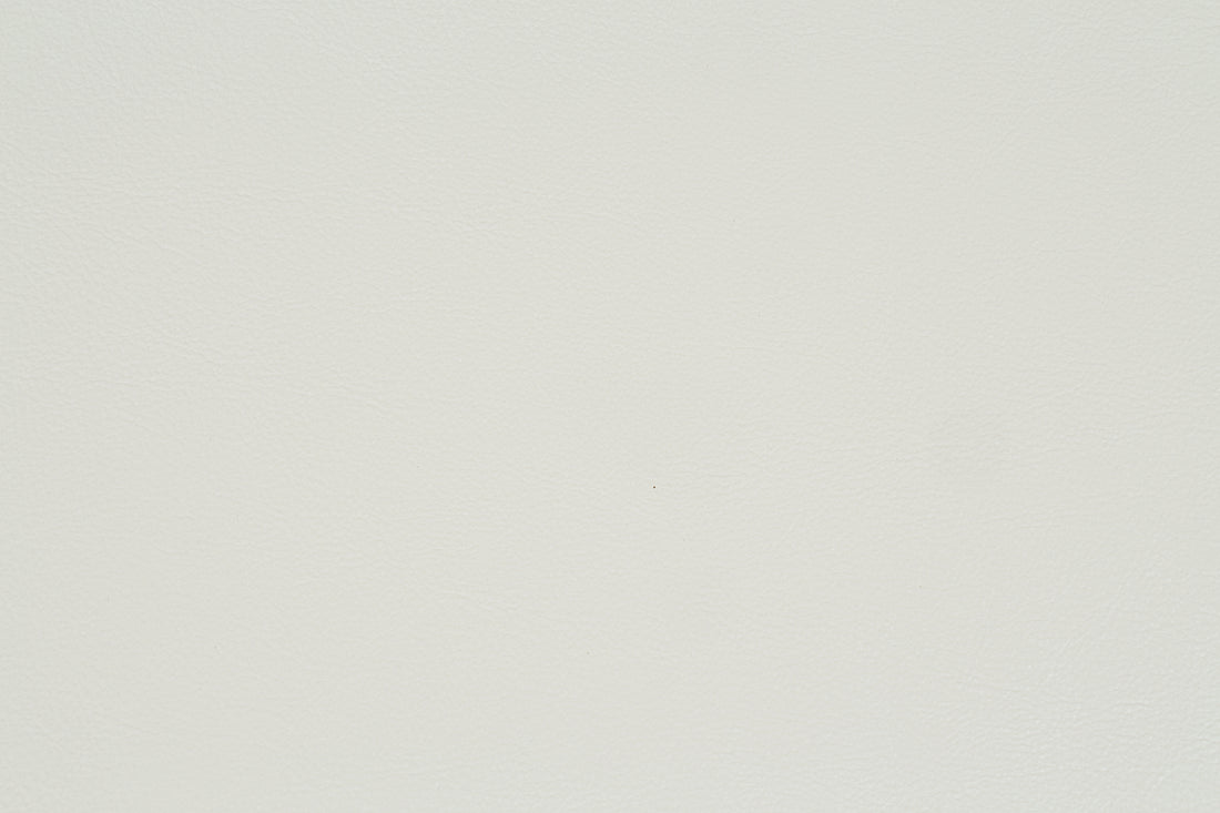 Adara Side Chair Set 2 Pearl White Pu & Antique White Finish Dn01230 Antique White Solid Wood Mdf