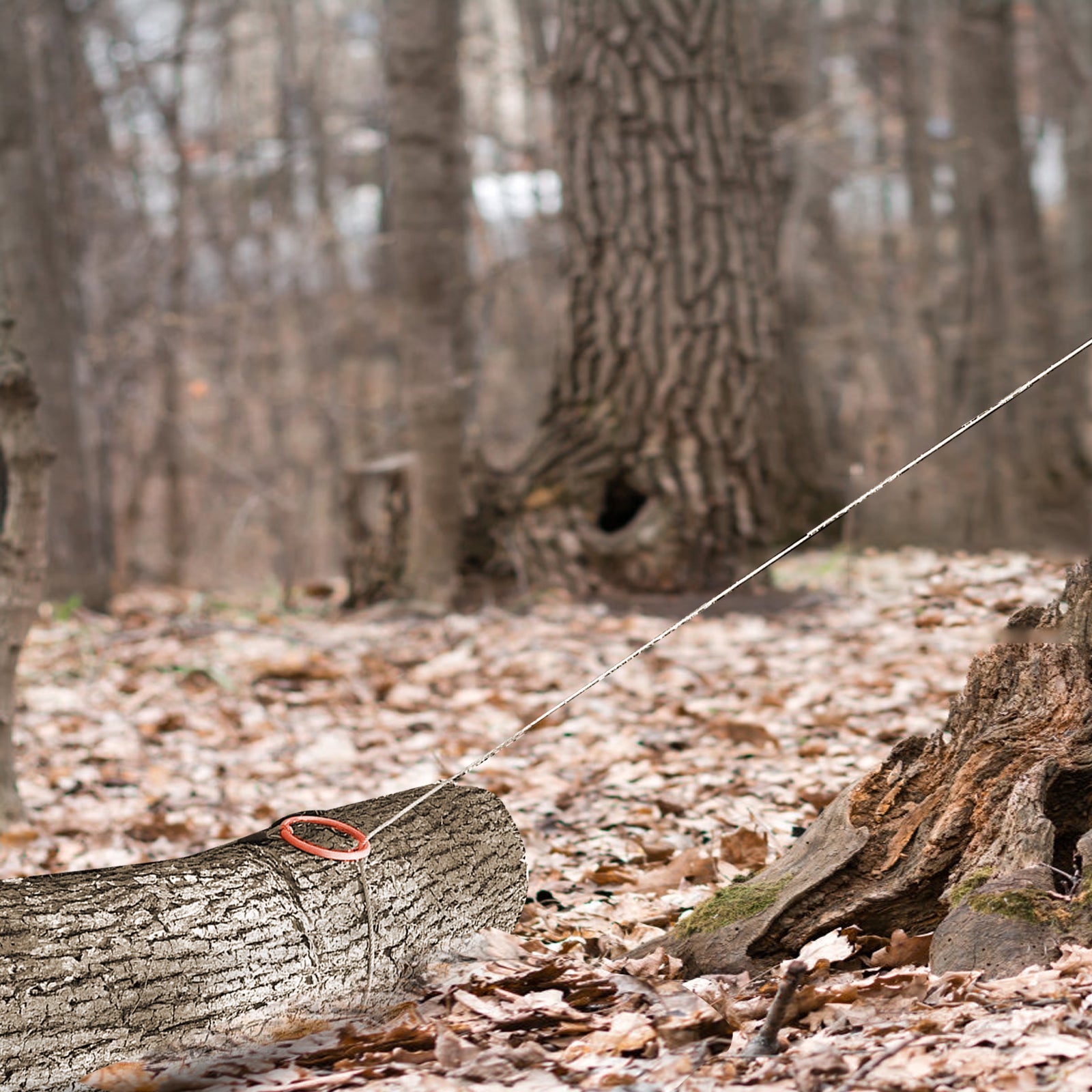 Log Choker Cable With Tow Ring,10 Feet Long Orange Steel