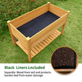 Raised Garden Bed Planter Box With Legs & Storage Shelf Wooden Elevated Vegetable Growing Bed For Flower Herb Backyard Patio Balcony 48.5X30X24.4In Natural Solid Wood