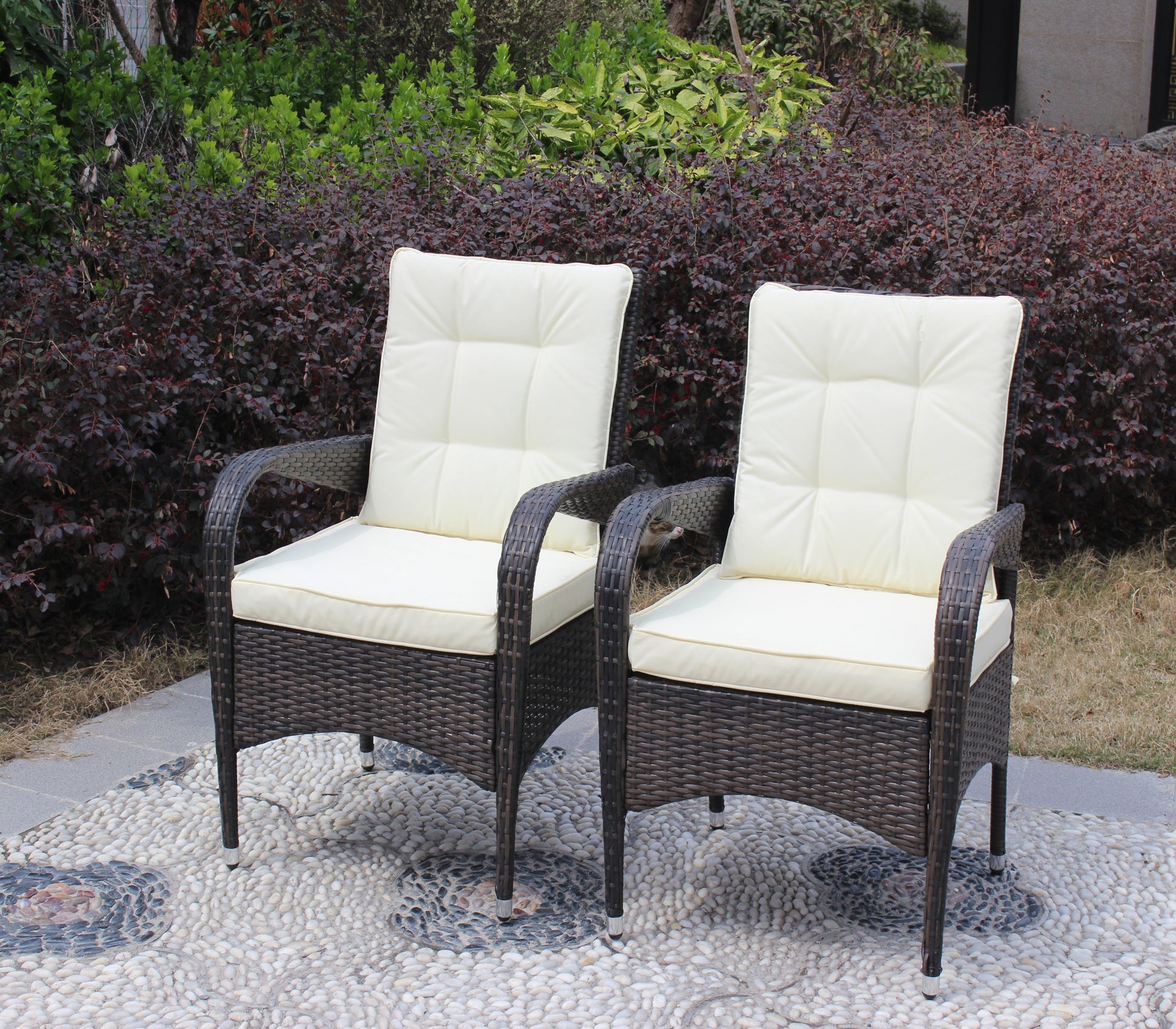 2 Piece Liberatore Dining Chairs With Cushions Beige Cushion Brown Iron