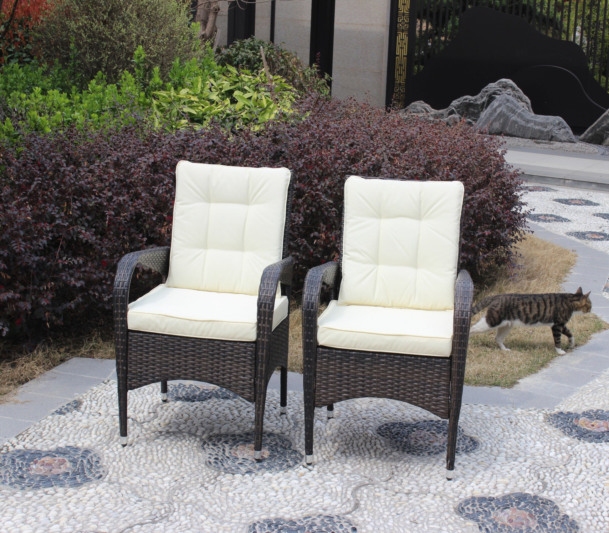 2 Piece Liberatore Dining Chairs With Cushions Beige Cushion Brown Iron