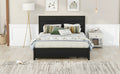 Metal Queen Size Storage Platform Bed With Twin Size Trundle And 2 Drawers, Black Queen Black Metal Bedroom Bed Frame Mdf Steel