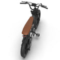 Aostirmotor Pattern Electric Bicycle 750W Motor 20