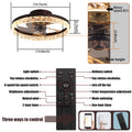 Low Profile Ceiling Fan With Light And Remote Control, Dimmable Led Ceiling Fan, 6 Speeds, Timing Reversible Blades, Brown, 20