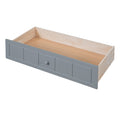 Twin Size Canopy Day Bed With 2 Drawers, Gray Gray Solid Wood Mdf