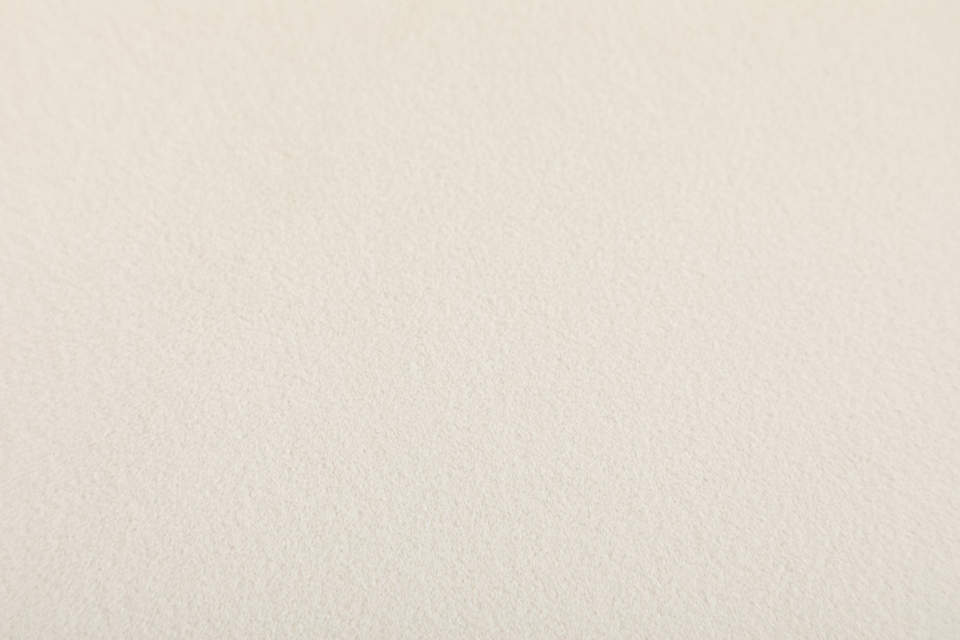 Shell Shape Velvet Fabric Armchair Accent Chair With Gold Legs For Living Room Bedroom,Ivory Ivory Foam Velvet