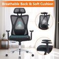 Sweetcrispy High Back Ergonomic Office Chair Adjustable Headrest And Waistrest Mesh Desk Chair Black Nylon Mesh