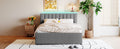 Teddy Fleece Queen Size Upholstered Platform Bed With Twin Xl Trundle, Gray Gray Fleece
