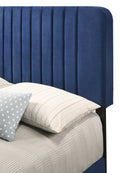 Lodi G0409 Qb Up Queen Bednavy Blue Navy Blue Foam Velvet