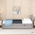 Modern Design Wooden Twin Size Platform Bed With 2 Drawers For Grey Color Grey Rubber Wood