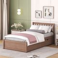 Modern Design Twin Size Platform Bed With 2 Drawers For Walnut Color Walnut Rubber Wood