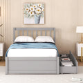 Modern Design Wooden Twin Size Platform Bed With 2 Drawers For Grey Color Grey Rubber Wood