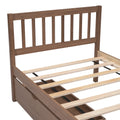 Modern Design Twin Size Platform Bed With 2 Drawers For Walnut Color Walnut Rubber Wood