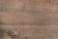 Oak Finish High Headboard 1Pc Queen Size Bed Bedroom Furniture Bedframe Panel Design Wooden Box Spring Required Queen Oak Wood Bedroom Contemporary,Modern Panel Particle Board