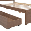Modern Design Twin Size Platform Bed With 2 Drawers For Walnut Color Walnut Rubber Wood