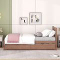 Modern Design Twin Size Platform Bed With 2 Drawers For Walnut Color Walnut Rubber Wood