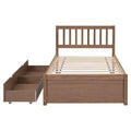 Modern Design Twin Size Platform Bed With 2 Drawers For Walnut Color Walnut Rubber Wood