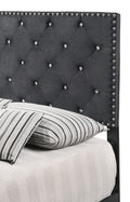 Chic Black Twin Bed For Every Space Black Foam Velvet