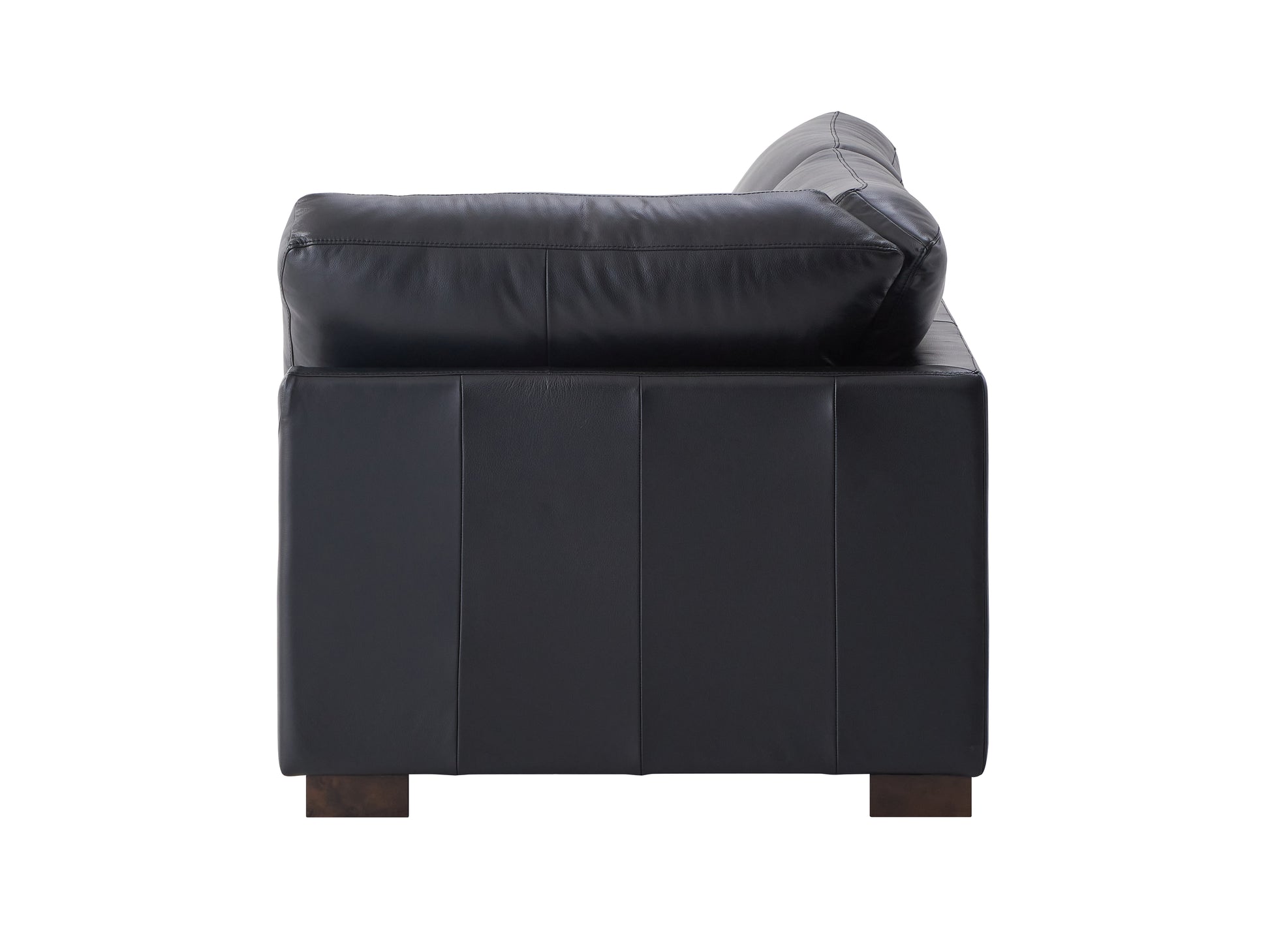 Geralyn Sectional Sofa W 2 Pillows, Black Leather Lv02397 Black Leather