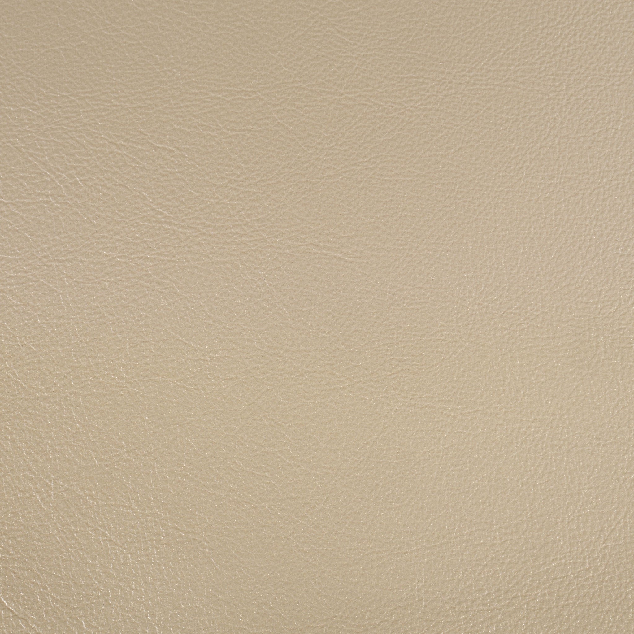 Danae Arm Chair Set 2 Pu, Champagne & Gold Finish Dn01199 Gold Solid Wood Mdf