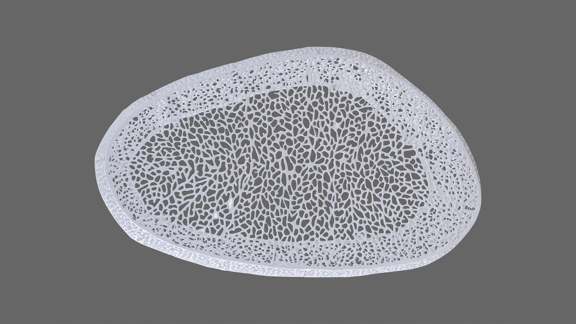 T3601 50 Oval Coffee Table White White Primary Living Space Contemporary,Modern Oval Coffee & End Tables Aluminium Aluminium