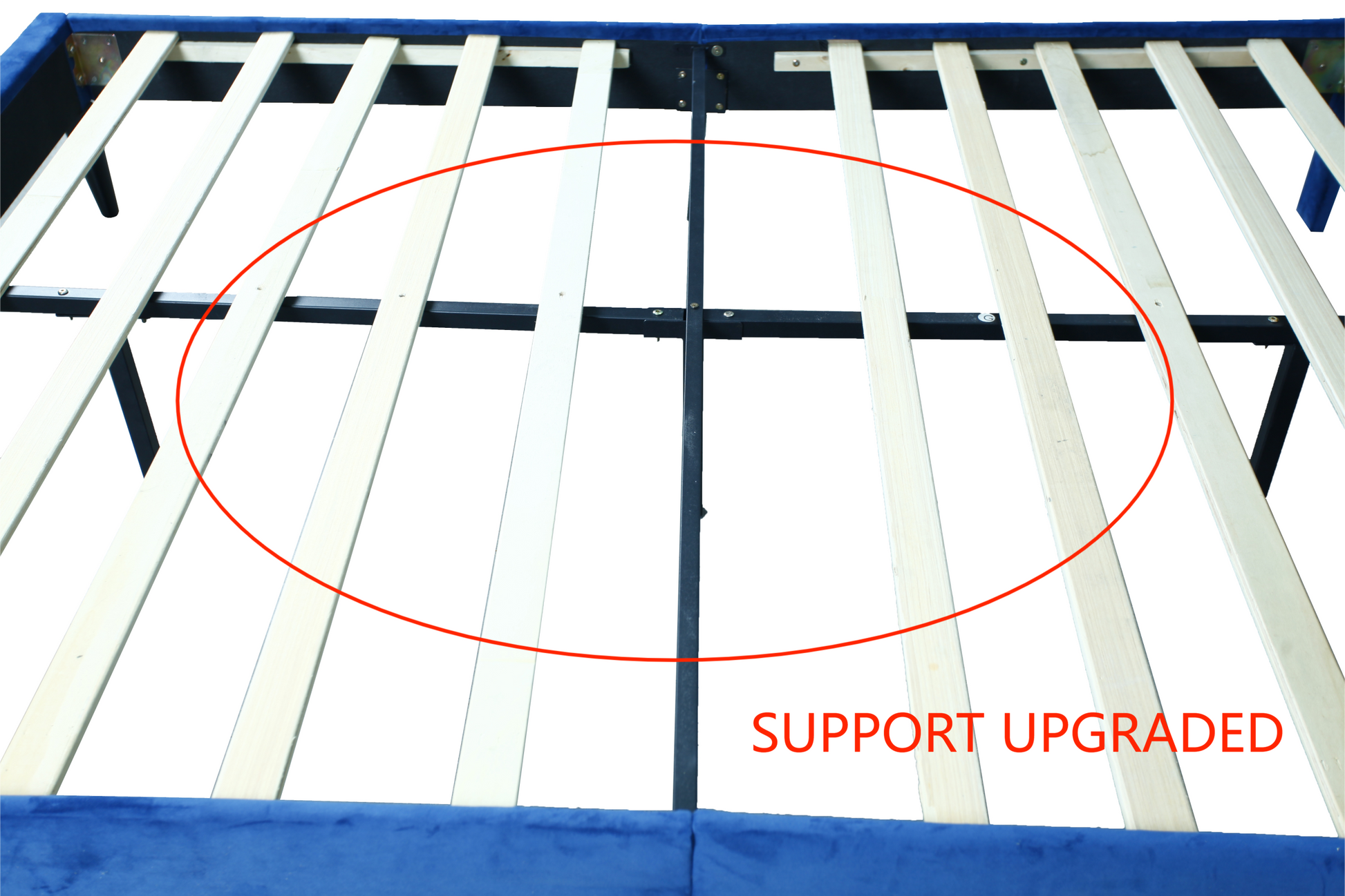 Modern Curved Upholstered Bed, Trim Queen Cream Plywood Fabric