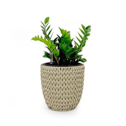 14.6" Self Watering Wicker Planter Garden Decoration Pot Beige Round Beige Rattan Metal