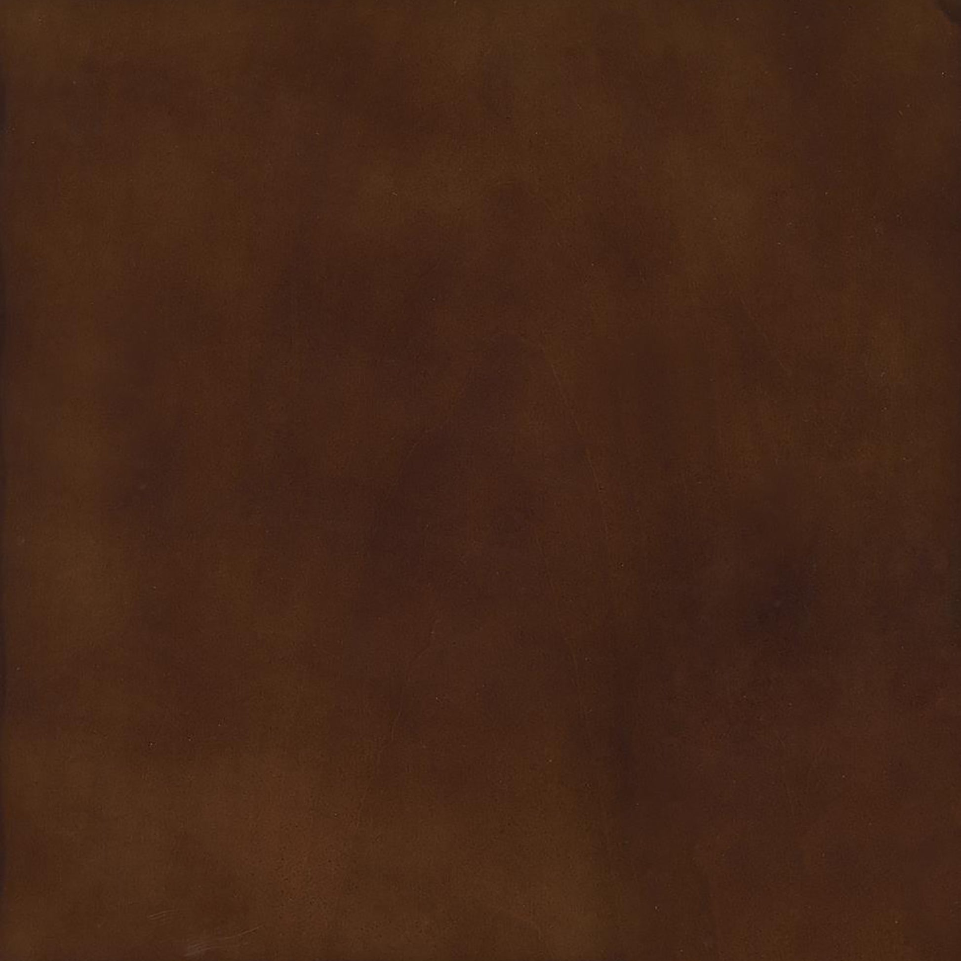 Walnut 6 Hook Coat Rack Walnut Brown Primary Living Space Contemporary,Modern Rubberwood Wood