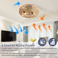 22 Inch Boho Caged With Enclosed Rattan 6 Speeds Remote Control Reversible Dc Motor For Living Room Rattan Abs