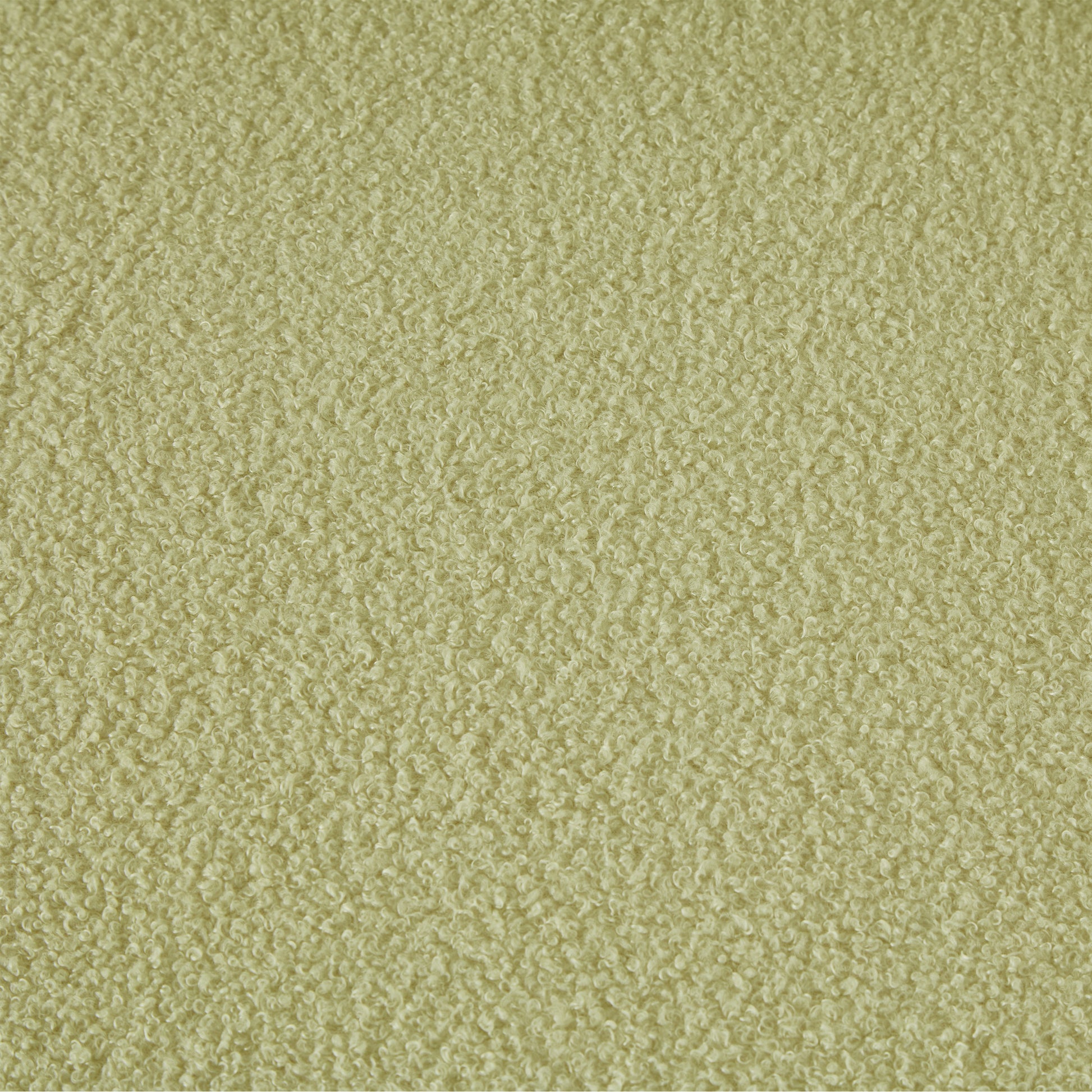 Living Room Furniture Lazy Sofa Loveseat Teddy Fabric Light Green Light Green Foam Teddy