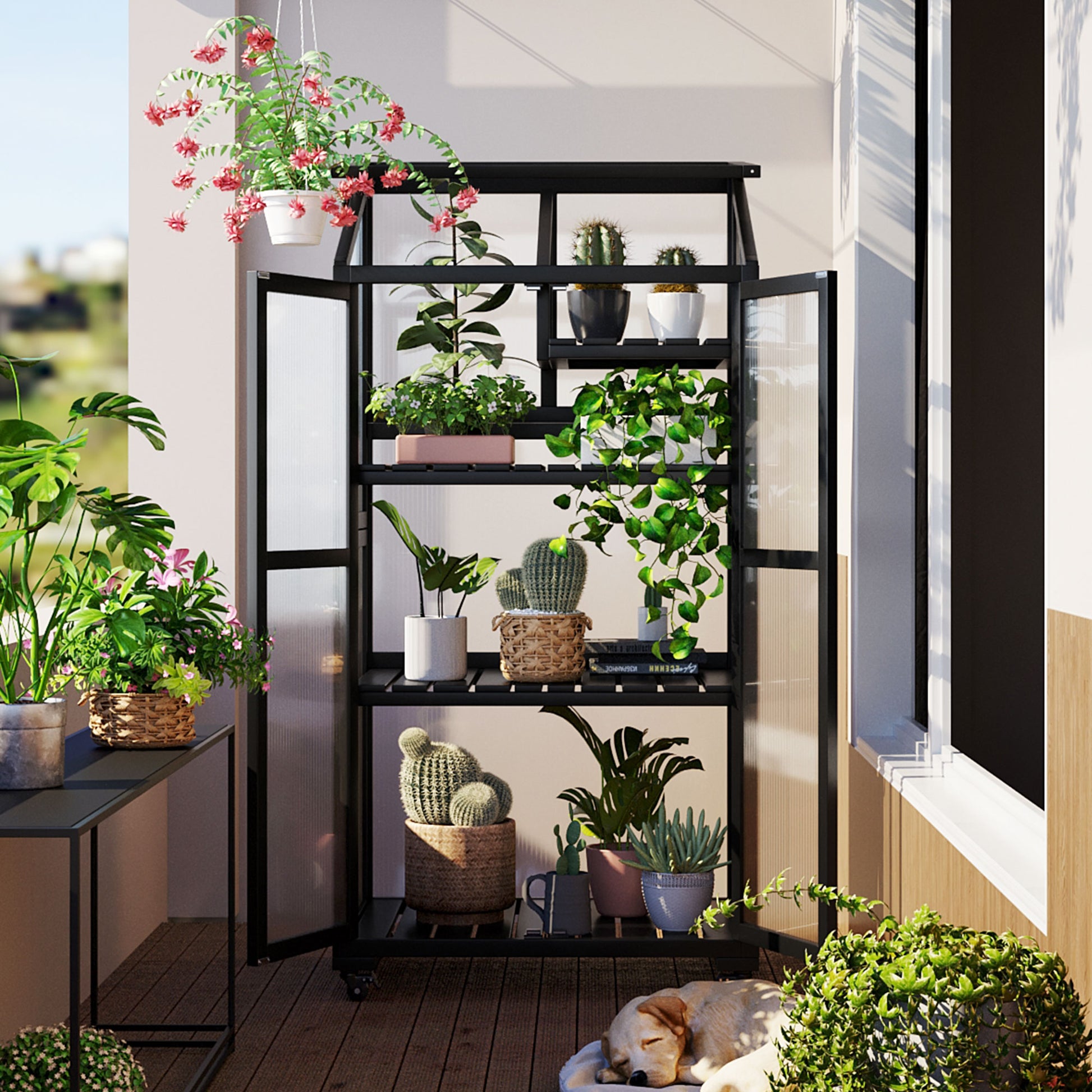 62Inch Height Wood Large Greenhouse Balcony Portable Cold Frame With Wheels And Adjustable Shelves For Outdoor Indoor Use, Black Black Garden & Outdoor Casual Wood Solid Wood