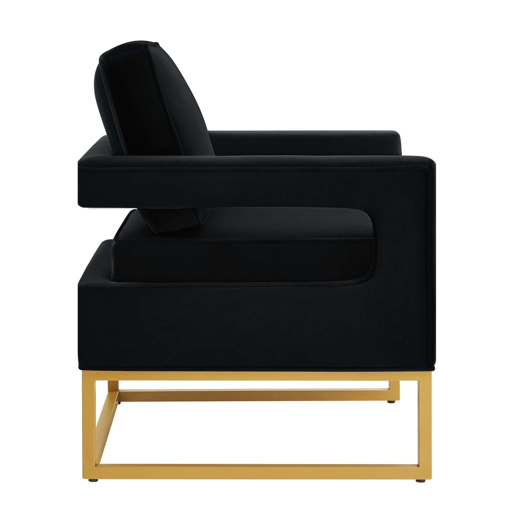 Modern Style Accent Chair With Gold Metal Basevelvet Upholstered Leisure Chair With Open Armrest, Armchair, Black Black Primary Living Space Modern Foam Velvet