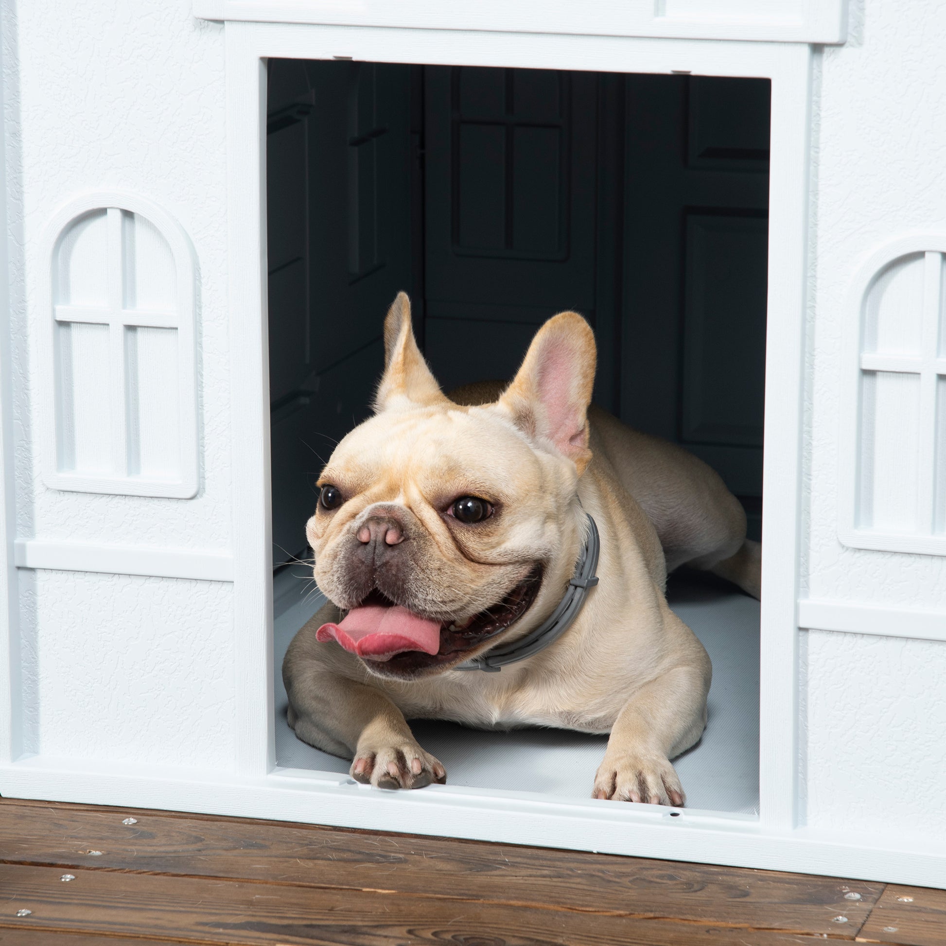 Pawhut Plastic Dog House, Water Resistant Puppy Shelter Indoor Outdoor With Door, Easy To Assemble, For Medium And Small Dogs, Blue Blue Polypropylene