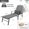 2 Pieces Set Outdoor Patio Swimming Pool Lounge Gray Color With Pillow Yes Gray Weather Resistant Frame Garden & Outdoor Foam Steel