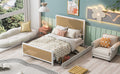 Queen Size Metal Platform Bed With 2 Drawers, White Box Spring Not Required Queen White Bedroom Bed Frame Metal