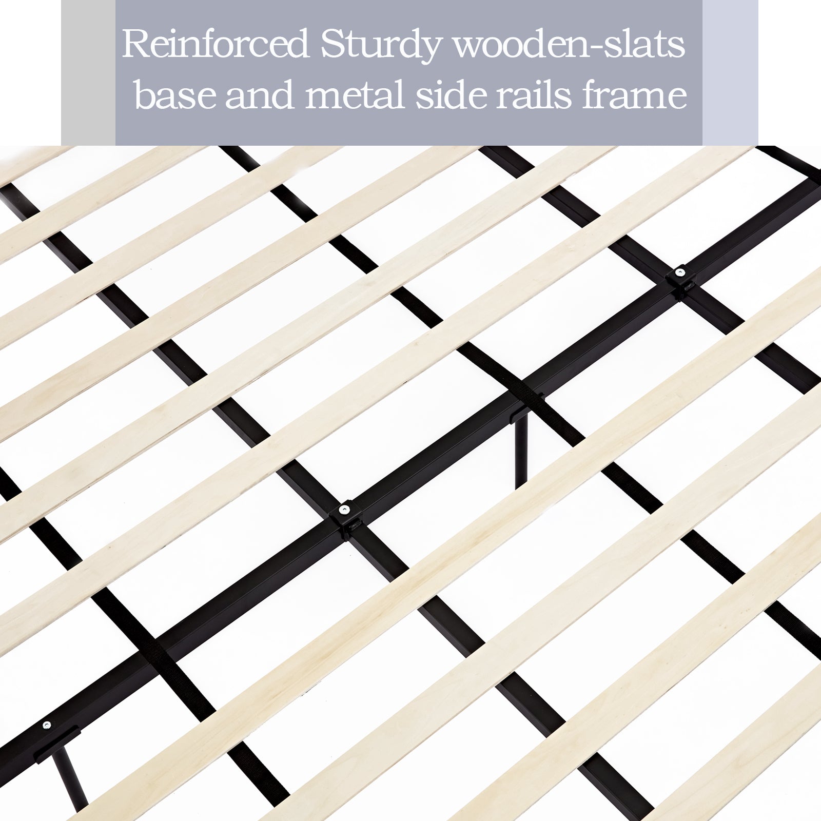 Harper Tall Headboard Upholstered Bed 54" High Headboard Elegant Simplicity No Box Spring Needed Easy Assembly Queen Dark Gray Velvet Box Spring Not Required Queen Dark Gray Metal Brown Bedroom Contemporary Oak Bed Frame Foam Velvet Fabric Metal