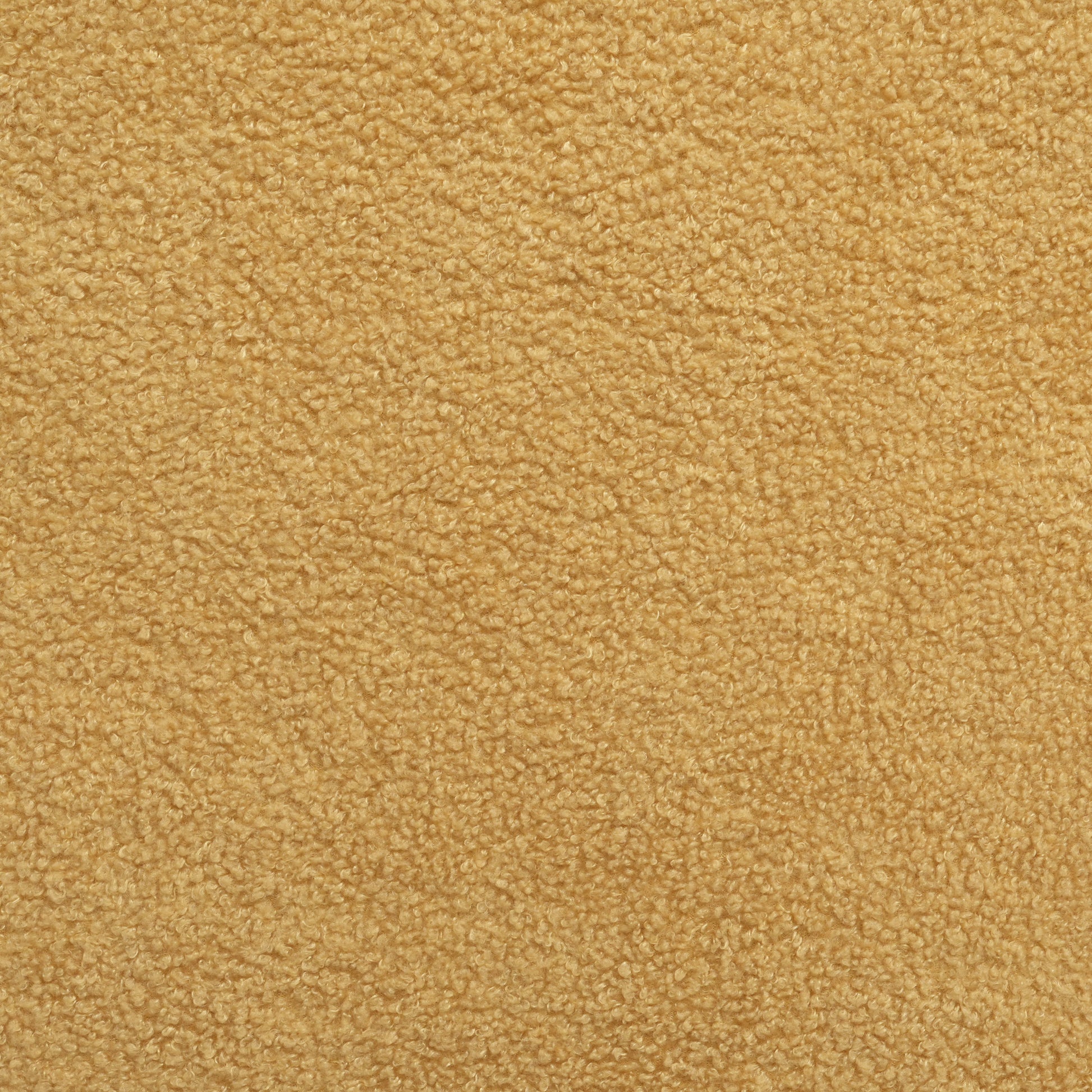 Cortina Fabric Club Chair Mustard Yellow Primary Living Space Casual,Contemporary,Cute Birch Fabric