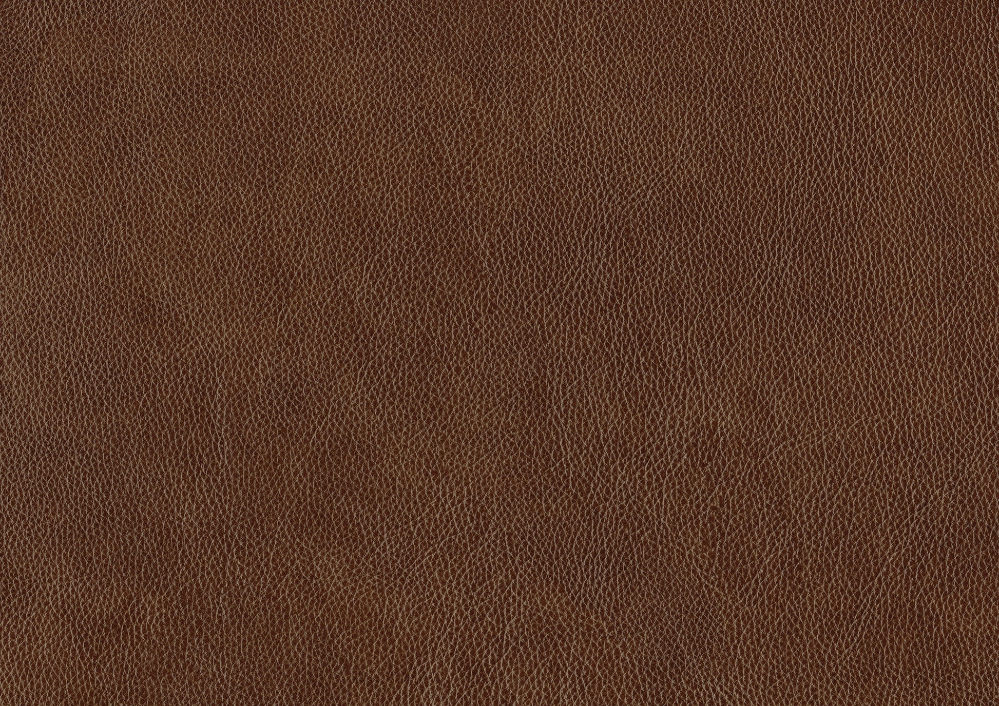 Traditional Brown Leather Accent Chair 1Pc Solid Wood Frame Top Grain Leather Trim Classic Modern Living Room Furniture Brown Primary Living Space Classic,Traditional,Transitional Solid Wood