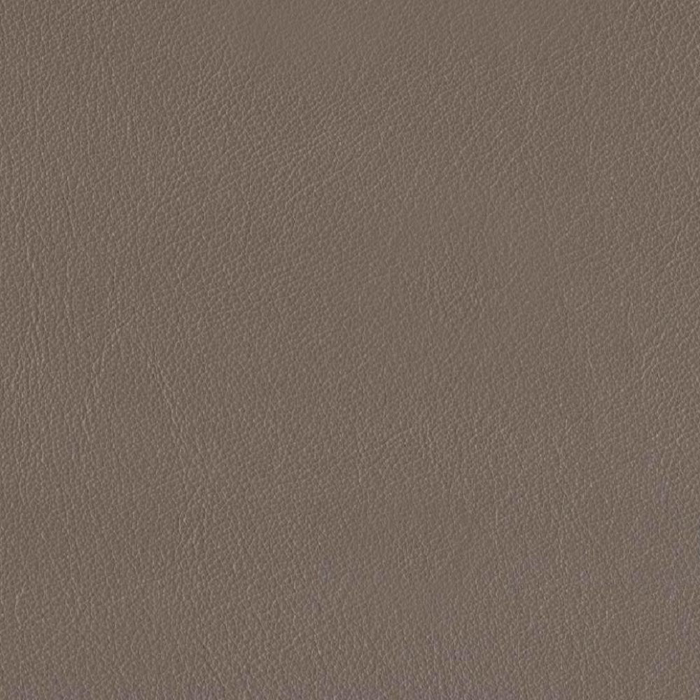 Laa Leather Sofa Taupe Genuine Leather Wood Primary Living Space Medium Firm Cushion Back Mid Century Modern Eucalyptus Rolled Arms Down Filling Genuine Leather 3 Seat