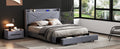 Queen Size Upholstery Platform Bed With Storage Headboard, Led, Usb Charging And 2 Drawers, Gray Queen Gray Upholstered