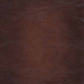 Alton Bay Top Grain Leather Loveseat Brown Genuine Leather Wood Primary Living Space Medium Firm Tufted Back Mid Century Modern Eucalyptus Rolled Arms Memory Foam Leather