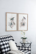 S 2 Bird Framed Print, 19.5X27.5
