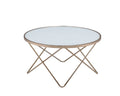Valora Frosted Glass Top & Champagne Finish Coffee Table Champagne Glass Metal
