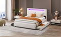 Queen Size Upholstered Platform Bed With Led Frame, With Twin Xl Size Trundle And 2 Drawers, Teddy Fleece, White White Fleece