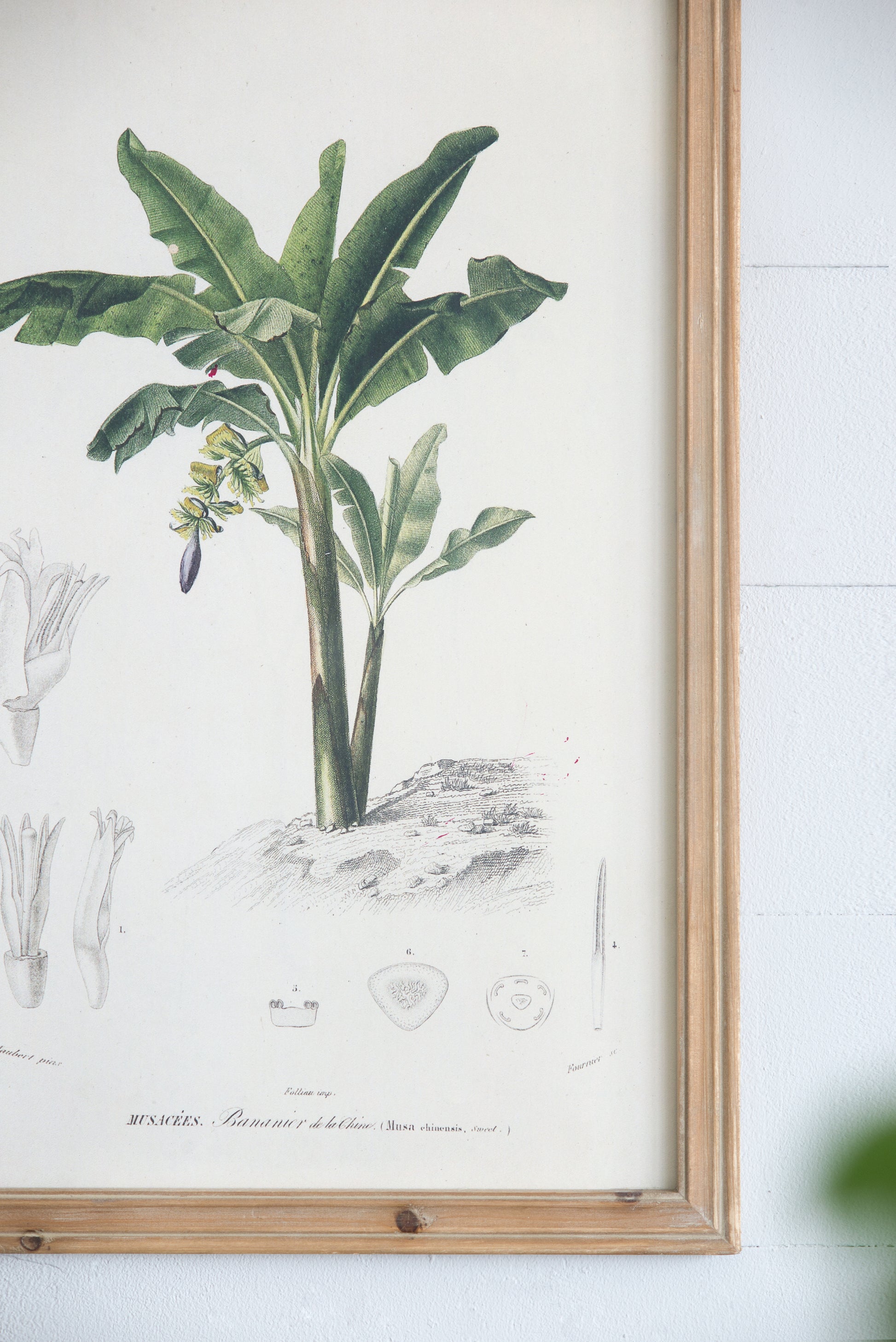 S 2 Tree Framed Print, 15.5X23.5" Multicolor Wood