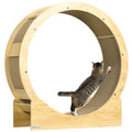 Pawhut Cat Wheel For Indoor Cats, 36