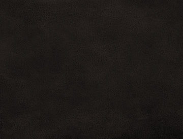 Marshall Black Reclining Sofa Black Foam Solid Wood 3 Seat