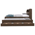 Twin Size Wooden Led Platform Bed With Trundle, With Storage Headboard, With Drawers, Brown Twin Brown Plywood